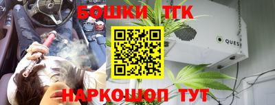 соль ск Новозыбков