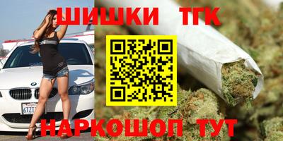 соль ск Новозыбков