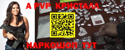 соль ск Новозыбков