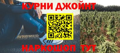 PSILOCYBIN Новокубанск