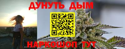 соль ск Новозыбков