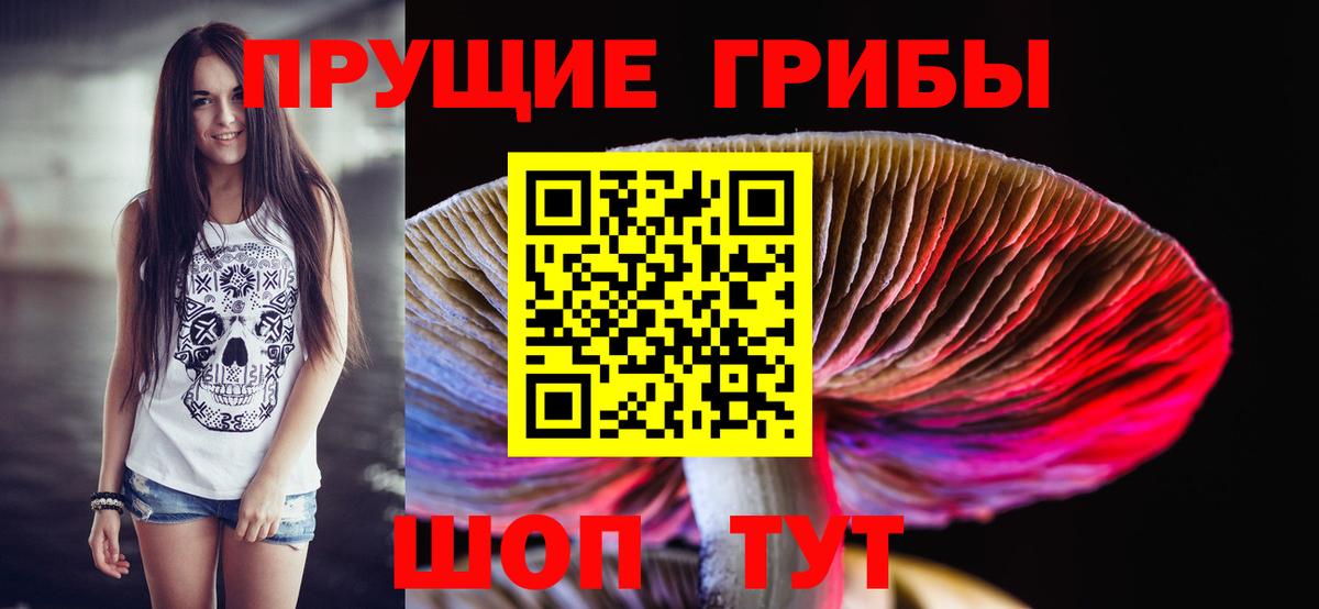 Дюртюли  Псилоцибиновые грибы MAGIC MUSHROOMS  Вход с VPN 